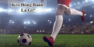 Giải thích kèo đồng banh